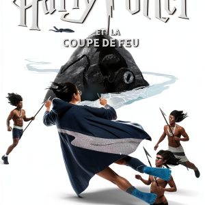 Harry Potter French Edition Kindle Book-0